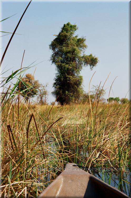 Botswana: Okavango Delta