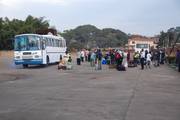 Lilongwe: Bus Station