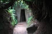 Son Trach: Phong Nha Grotten